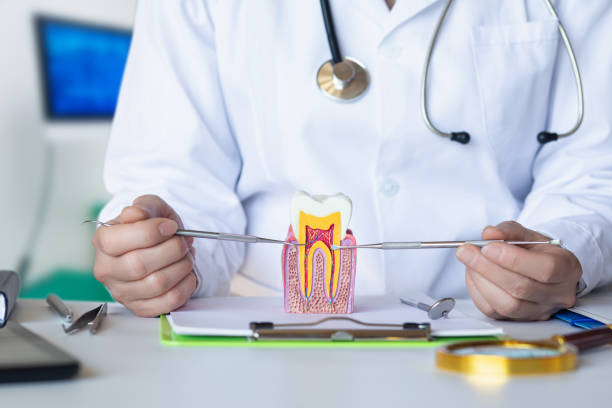 Best Emergency Root Canal Treatment in Ivanhoe, CA